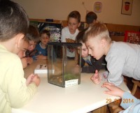 “Kruškice” ponovo u akciji …