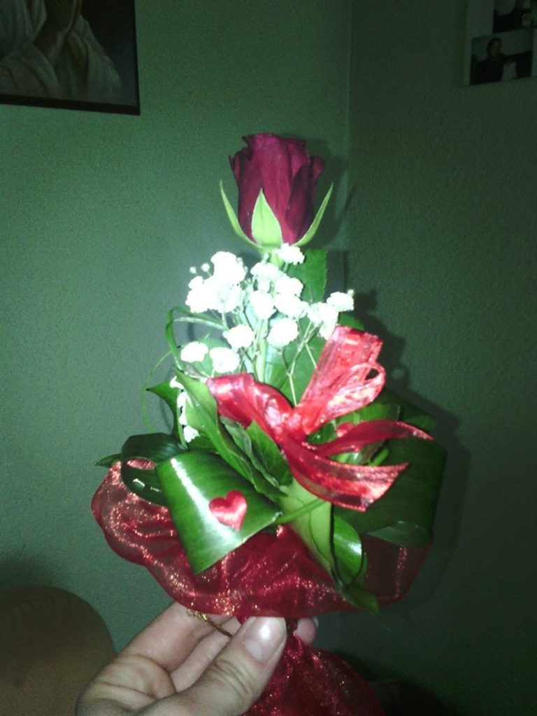 SKUPINA “PJEGICE”