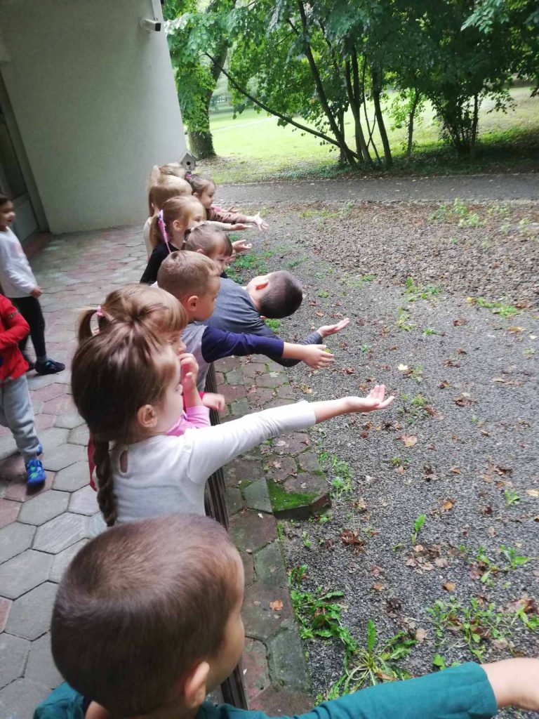 Slonići na kiši